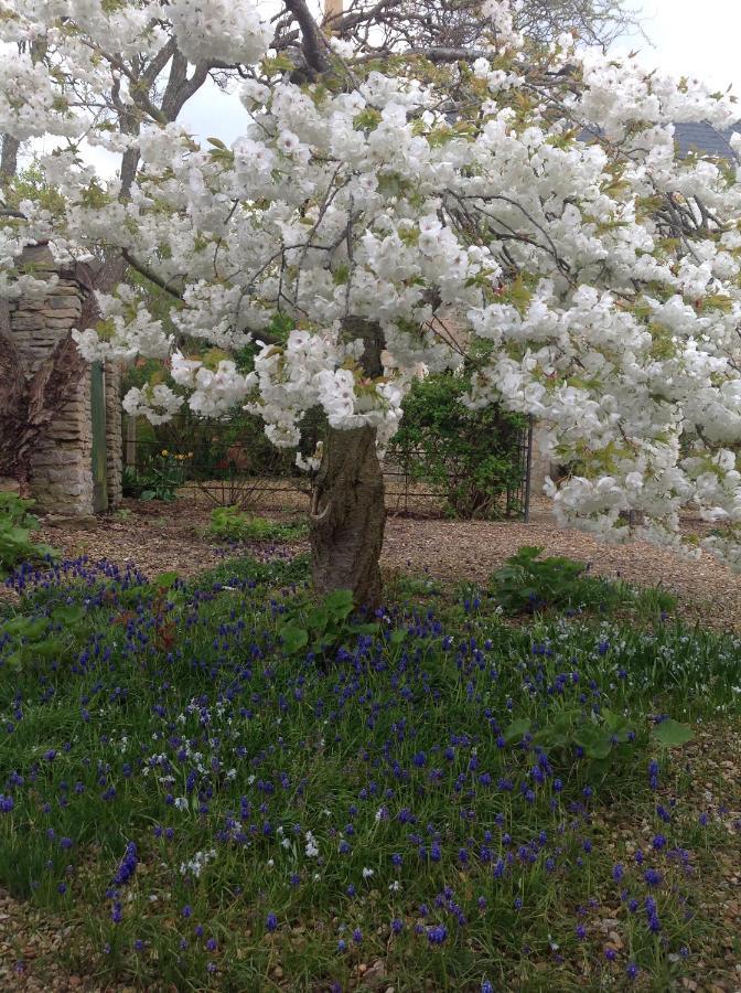 Orchard Cottage, Clematis Cottages, Stamford. Accessible Luxury Home. Buitenkant foto